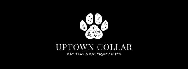 Uptown Collar logo